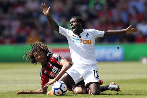 廓和强健的 廓和强健的